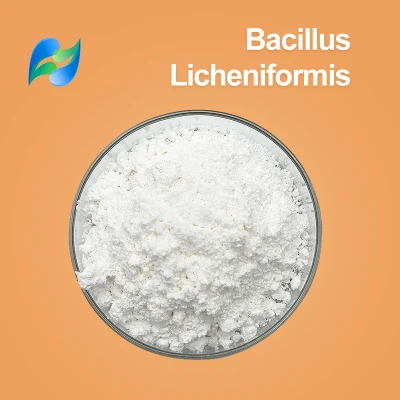 Probiotische Produkte in Futtermittelqualität, Bacillus Licheniformis CAS 68038-66-4